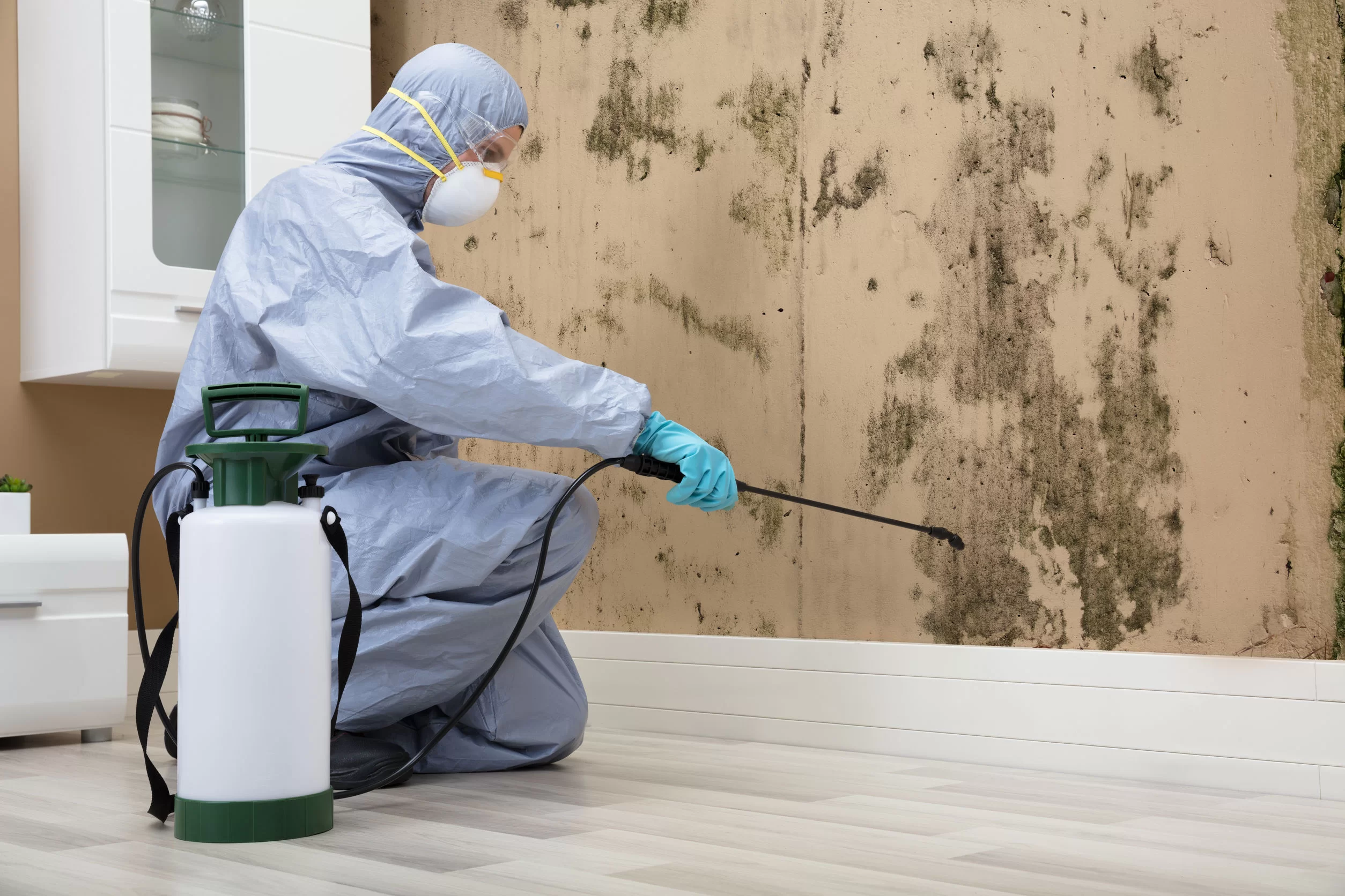 Government Guidelines for Mold Remediation