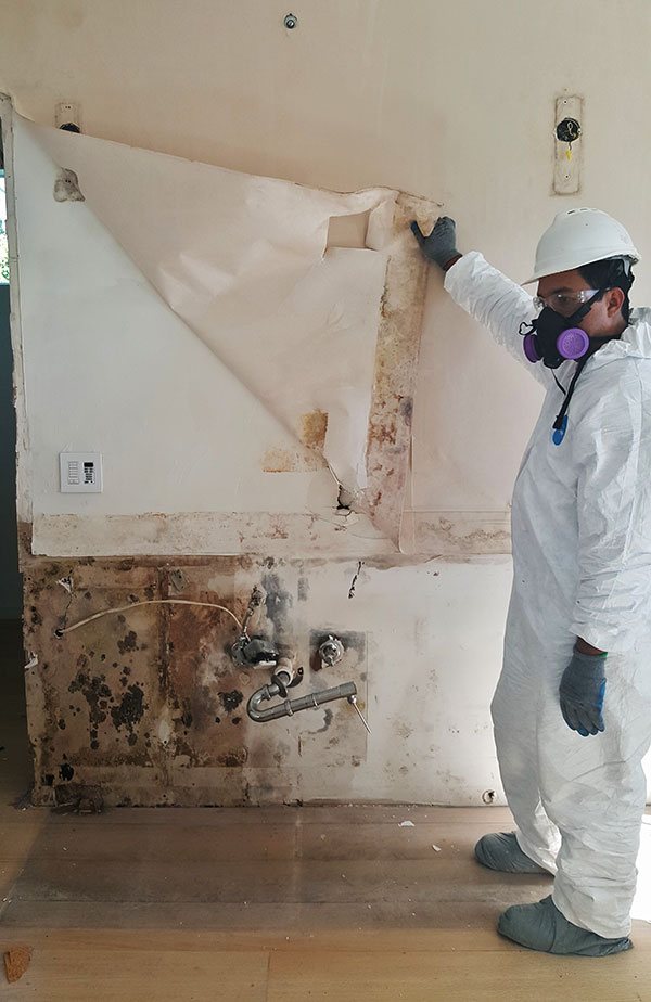 mold restoration MT Hood Oregon