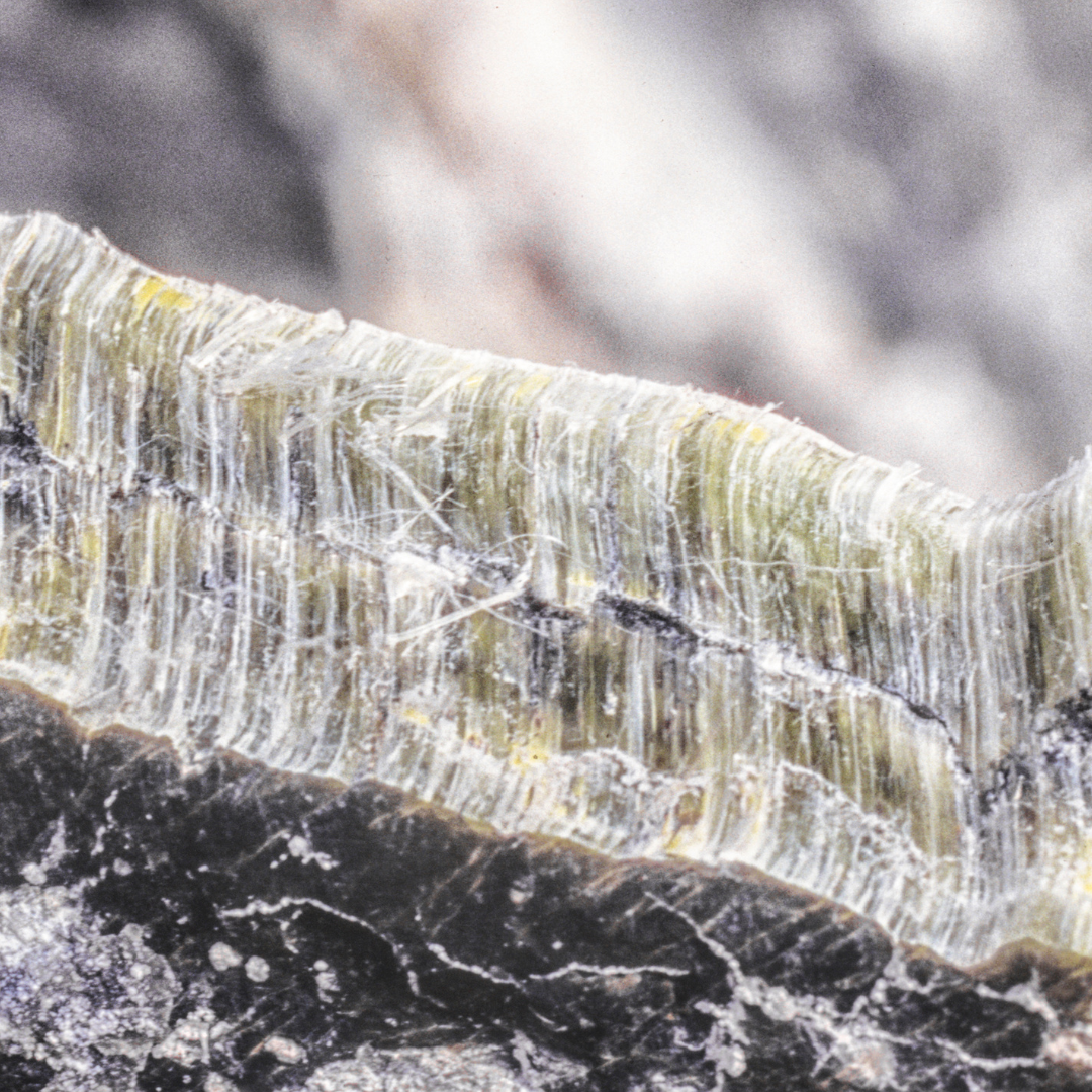 The Importance of Professional Asbestos Abatement MT Hood